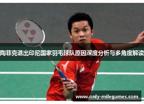 陶菲克退出印尼国家羽毛球队原因深度分析与多角度解读